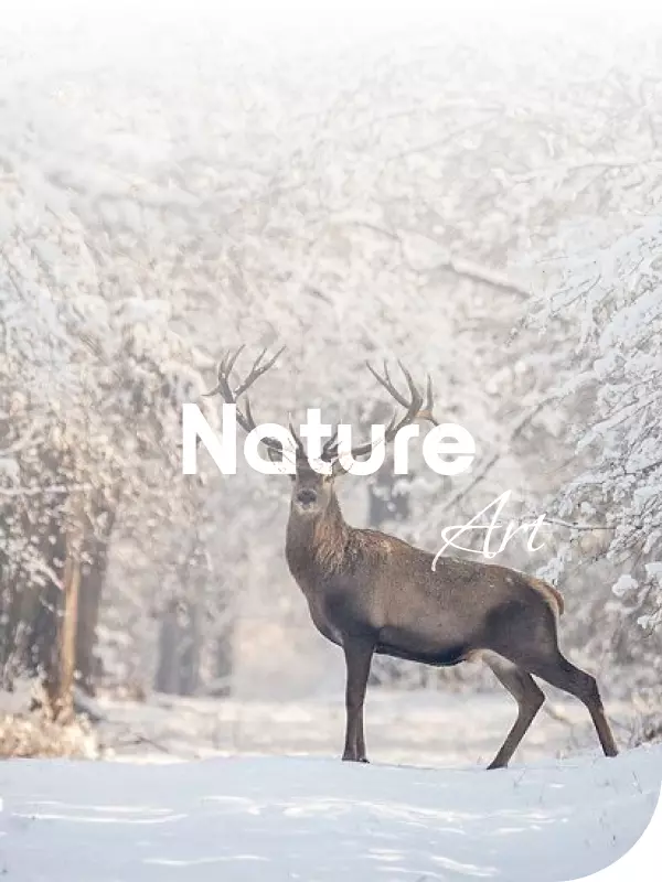 wall decor nature