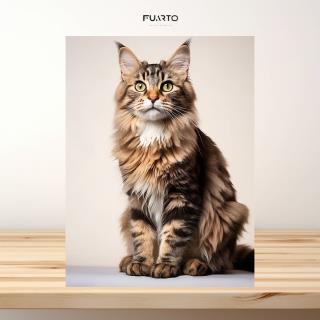 Hiasan Dinding Gambar Kucing