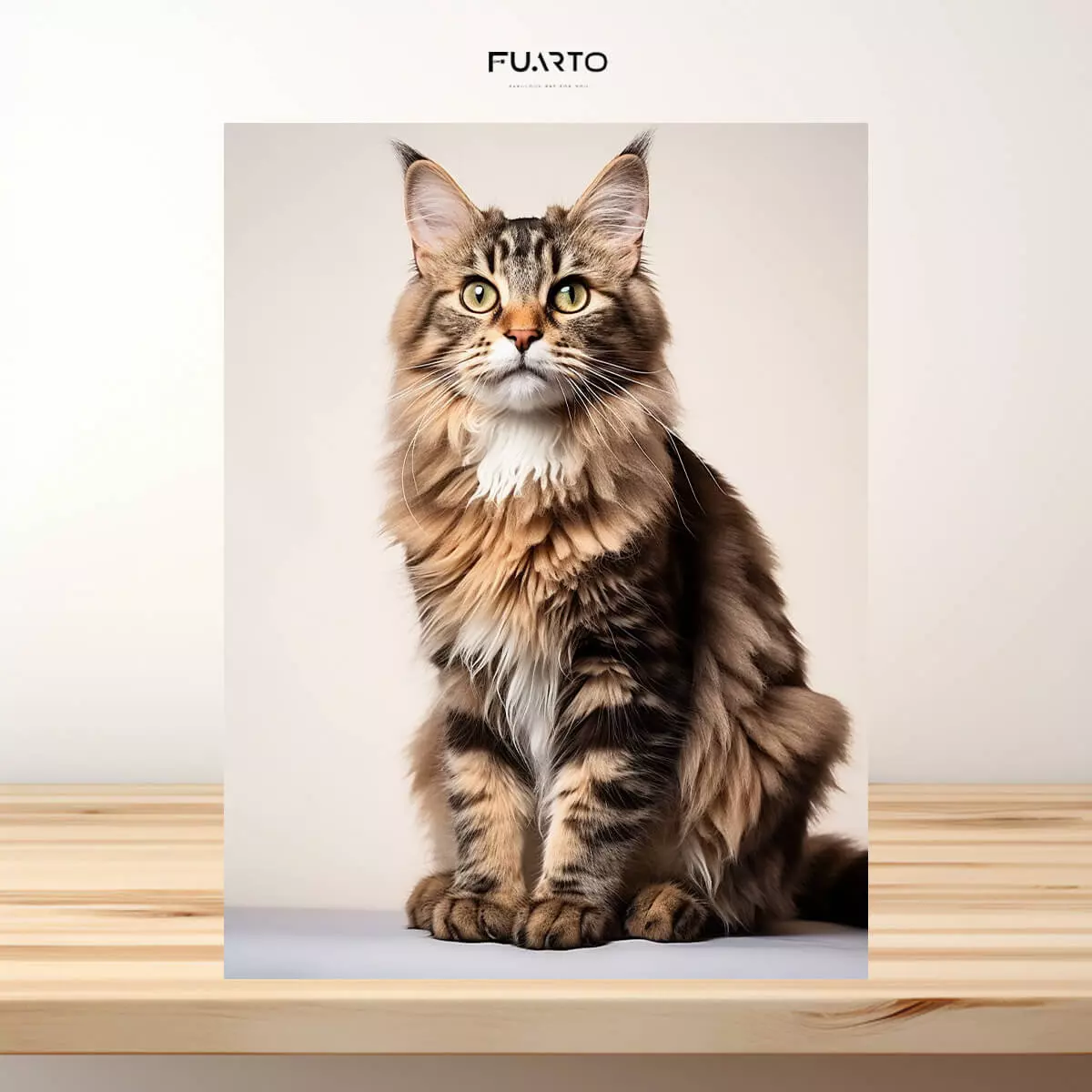 Hiasan Dinding Gambar Kucing